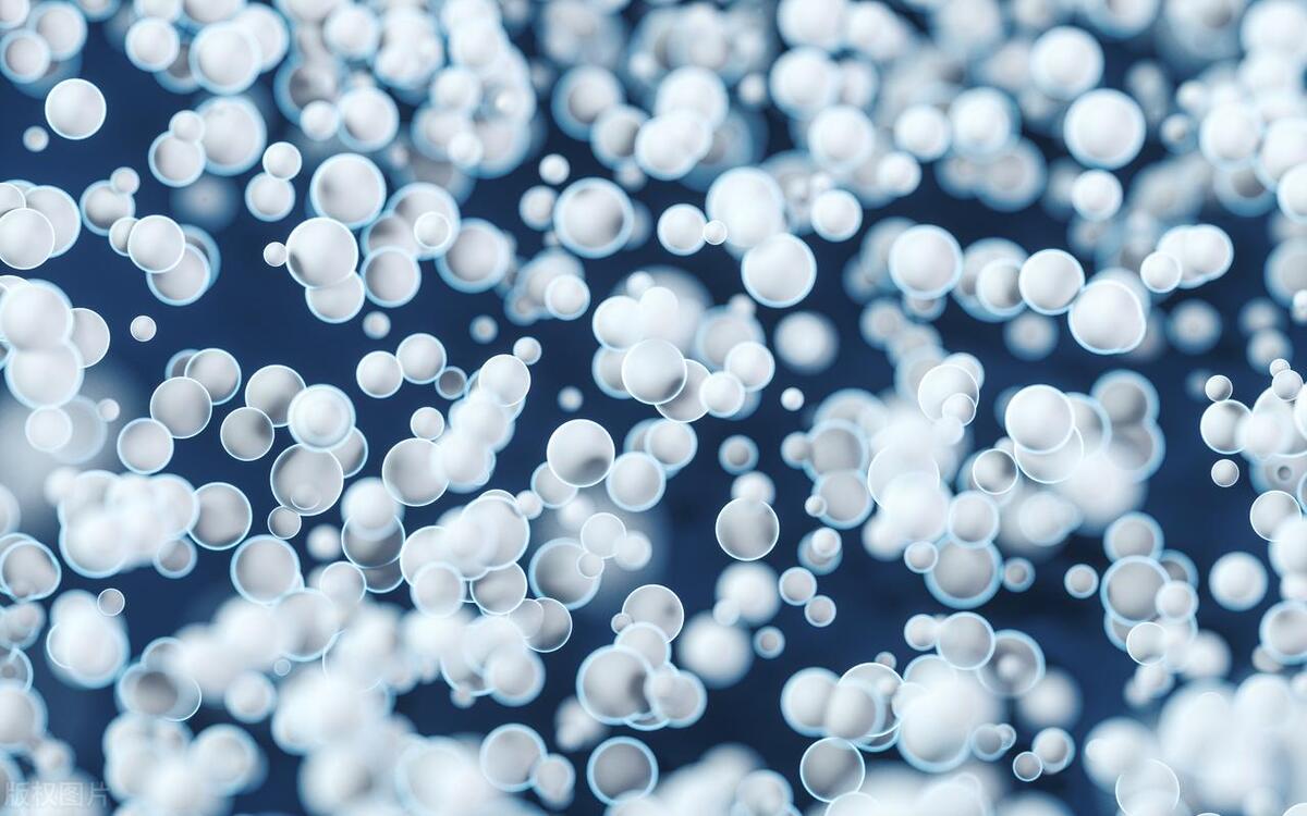微生物.jpg