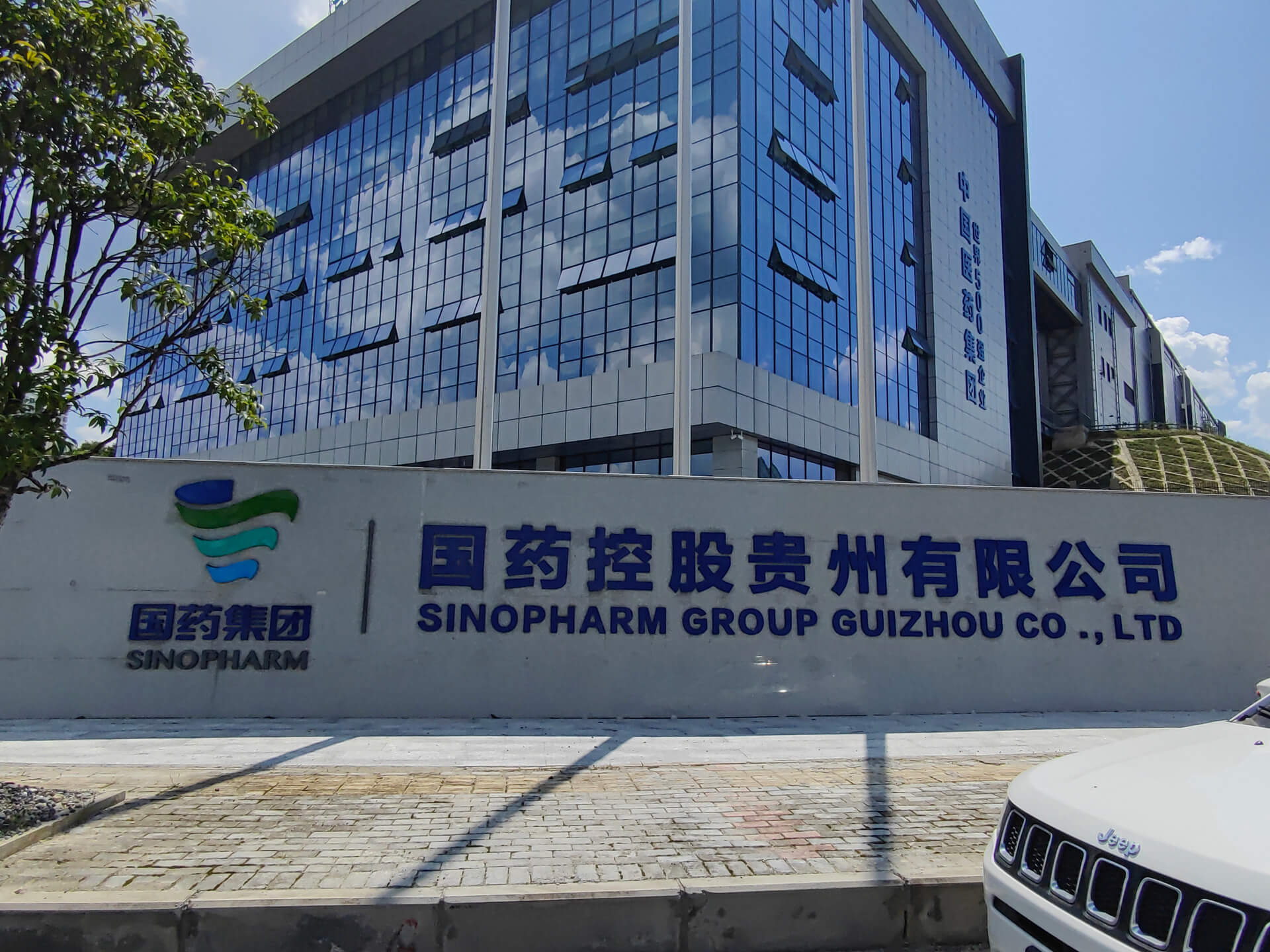 国药集团.jpg